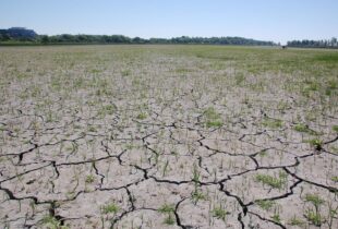 Oshawa Second Marsh: Exposed!