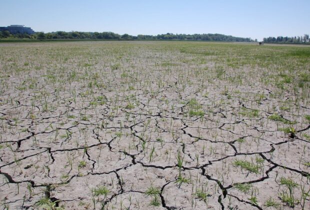 Oshawa Second Marsh: Exposed!