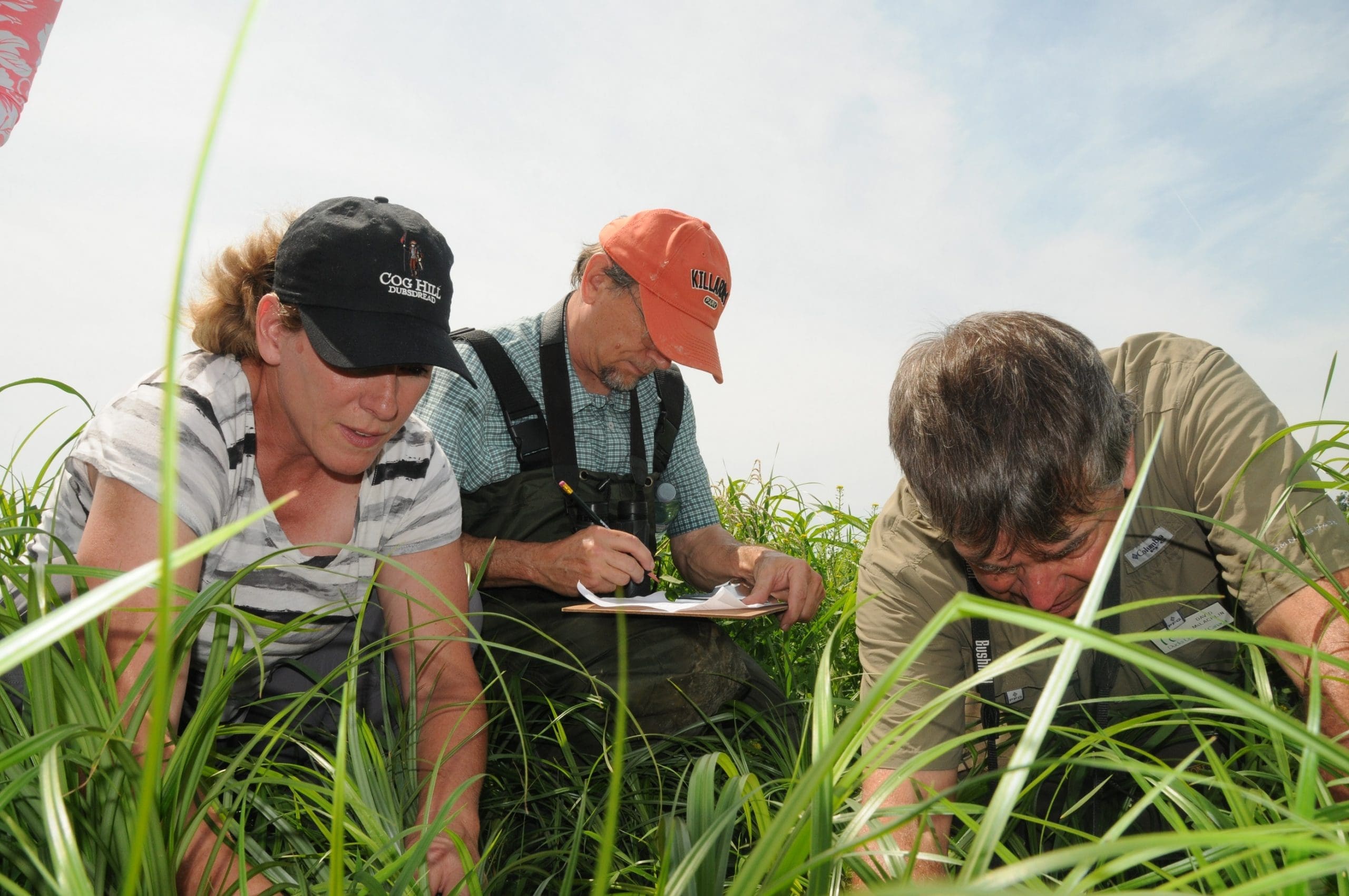 An up-close look at wetland success