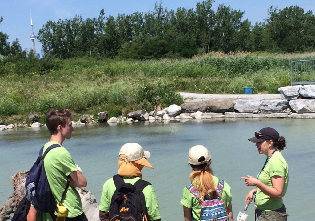 Students at wetlands near Toronto skyline