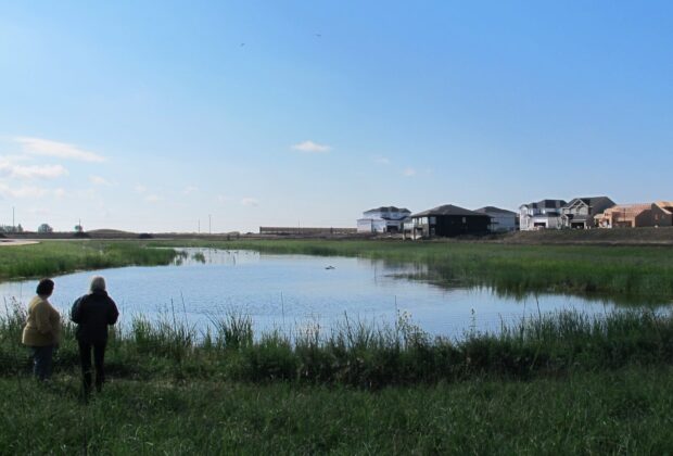 From bathtubs to wetlands