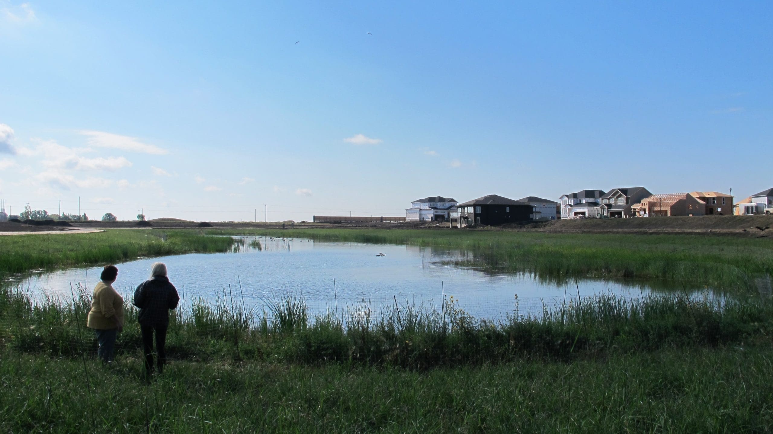 From bathtubs to wetlands