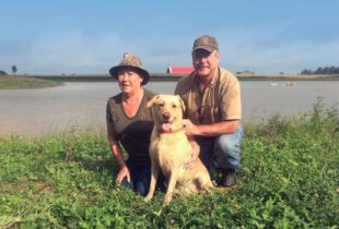 Aiming high for conservation