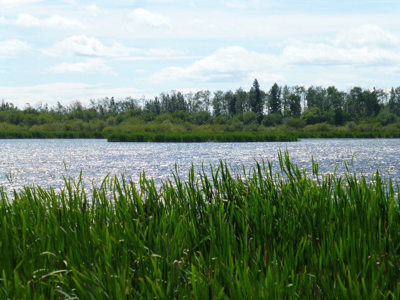 McNaught Lake in Peace Country