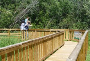 Wetland interpretive boardwalk opens in Peace Country