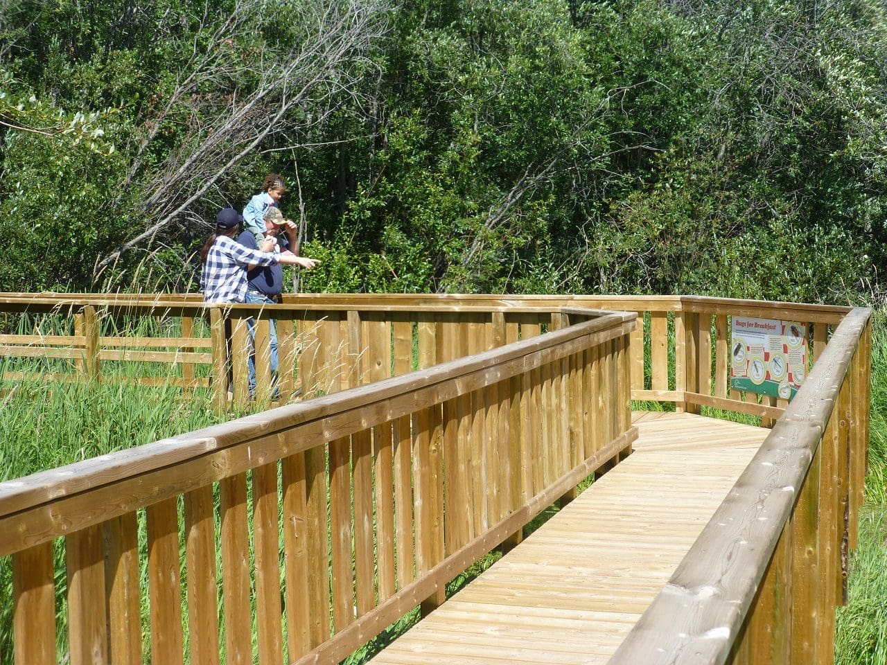 Wetland interpretive boardwalk opens in Peace Country
