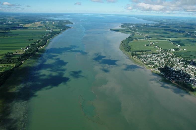 Quebec wetlands