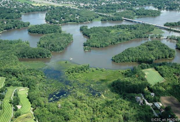 Quebec regional plans for wetland conservation