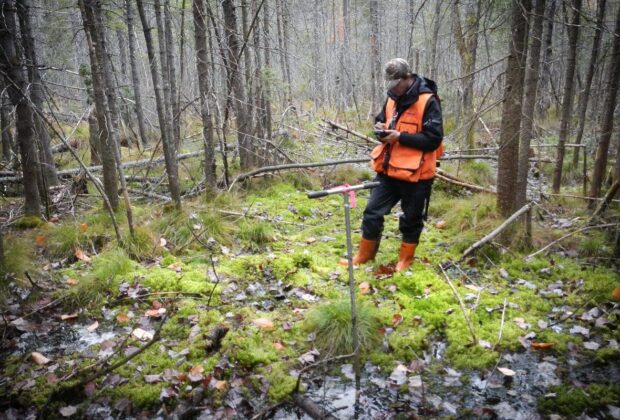 Wetlands Mapping