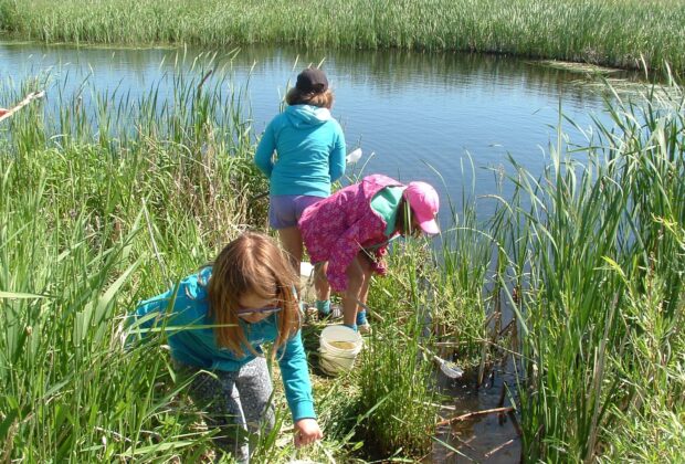 Out of the classroom, into the Manitoba marsh