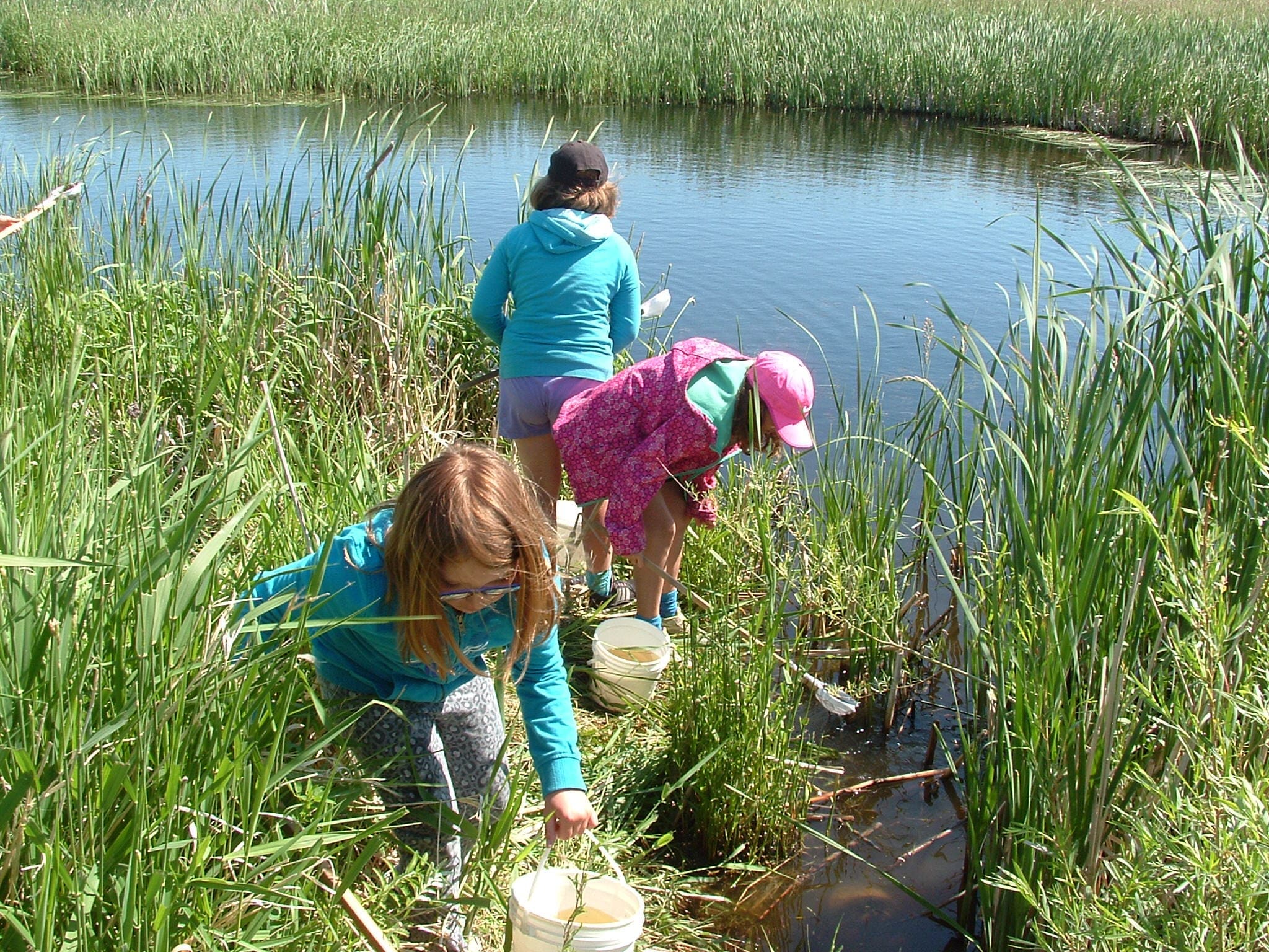 Out of the classroom, into the Manitoba marsh