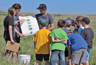What happens when your classroom is a wetland?