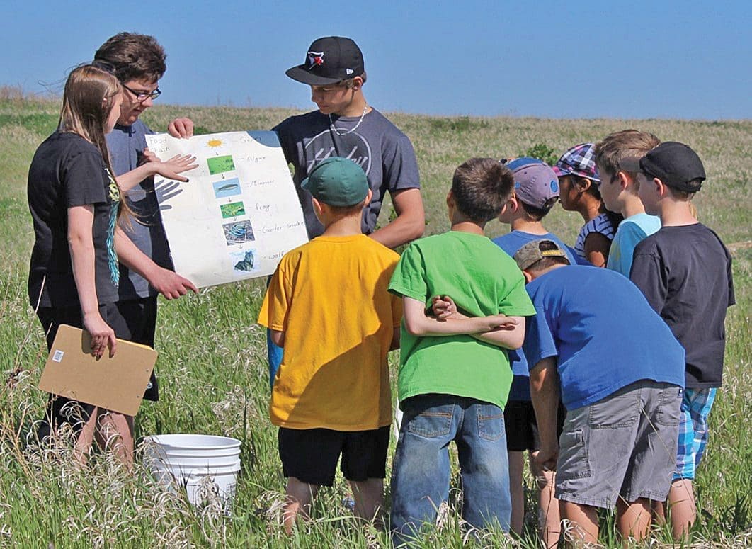 What happens when your classroom is a wetland?