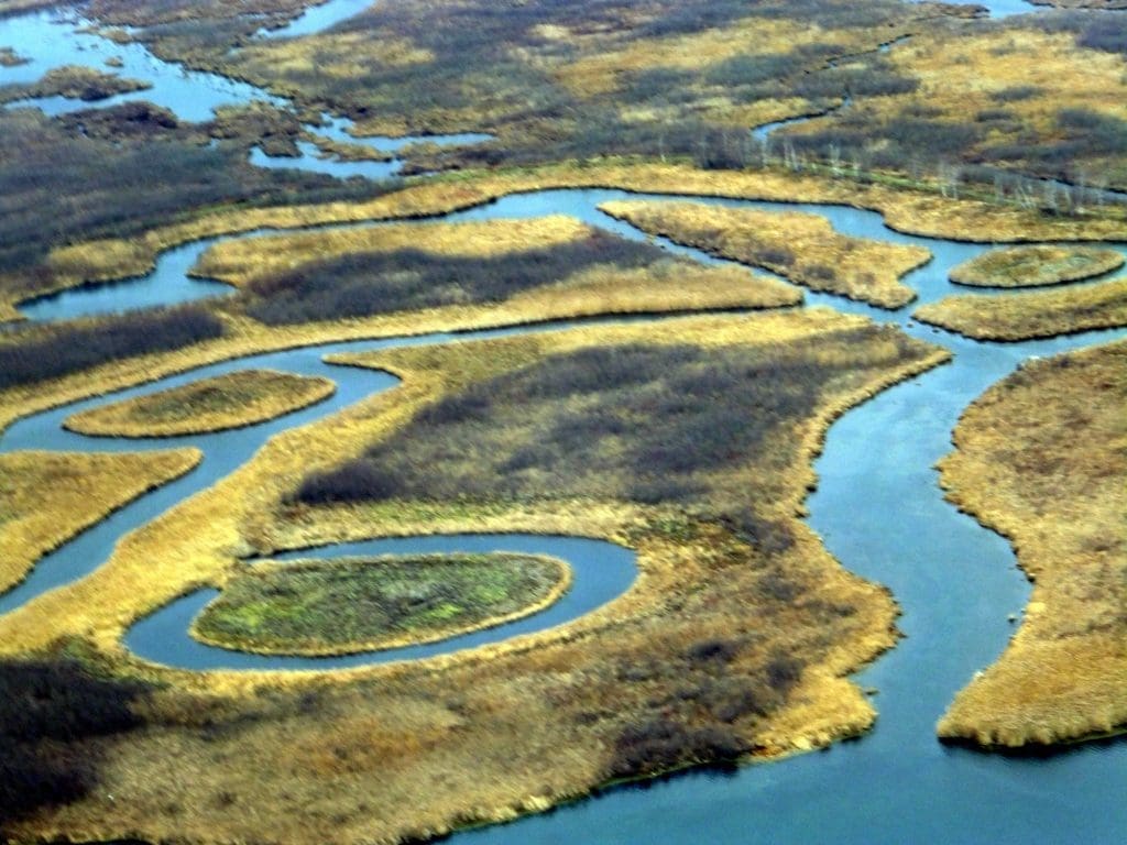 Cooper Marsh aerial view