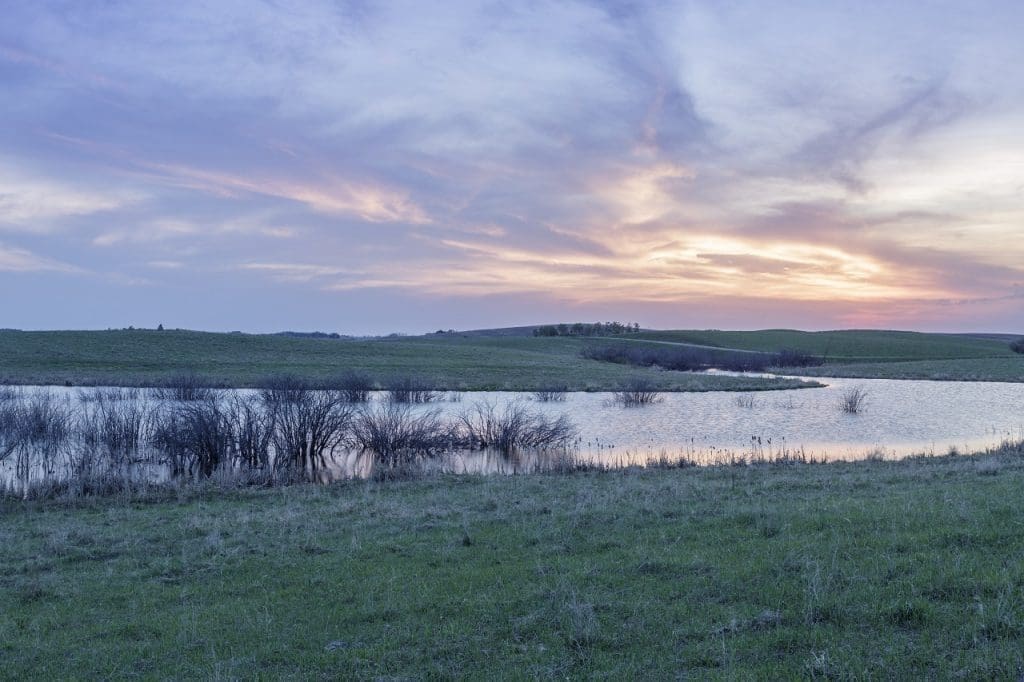 Rescue Our Wetlands - Prairie Region