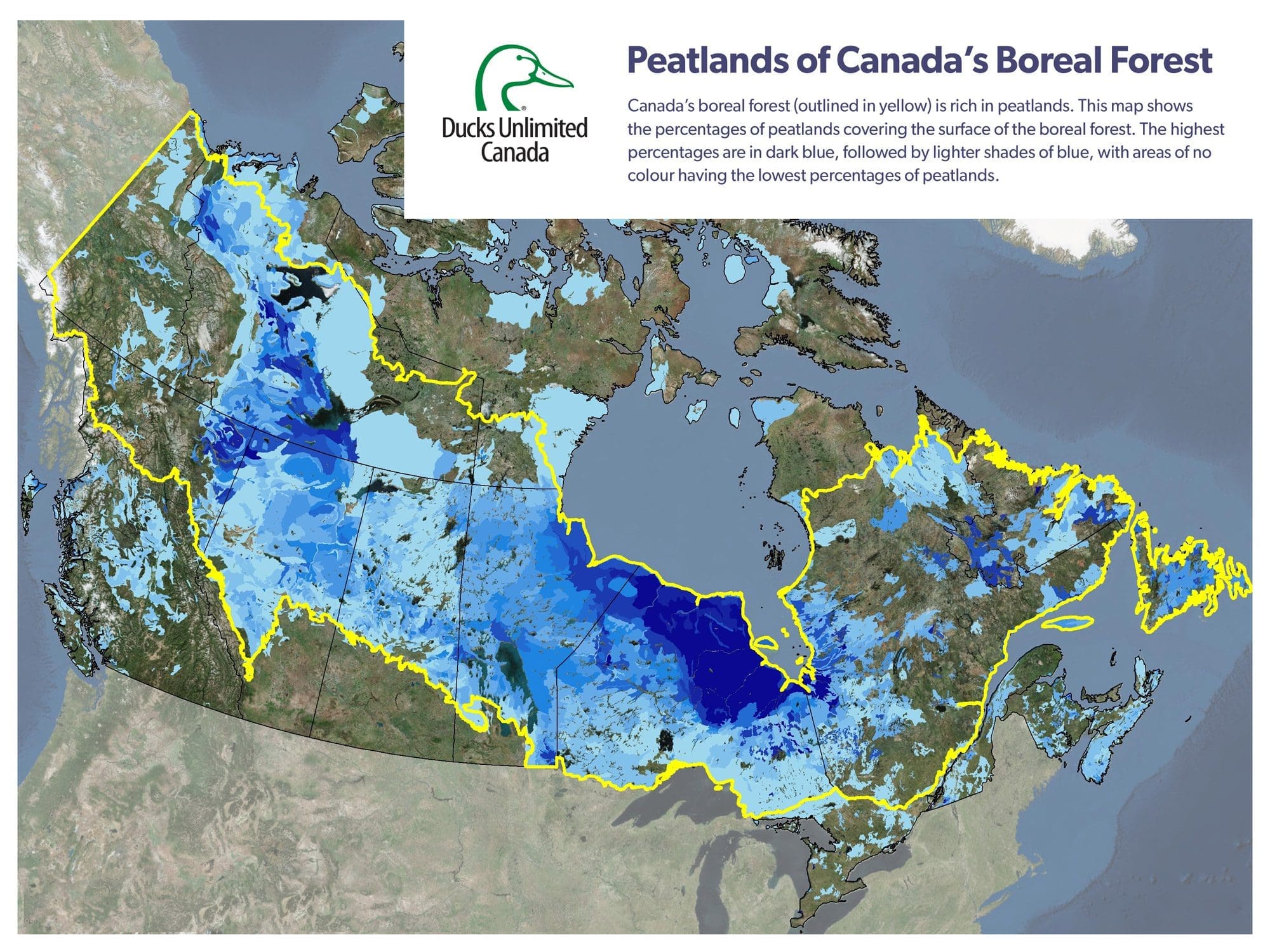 Plumbing the depths of Canada’s peatlands – one of the world’s largest carbon sinks