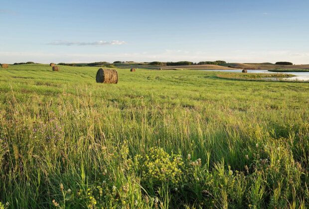 Ducks Unlimited Canada supports and celebrates Canadian agriculture