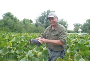 A volunteer’s story