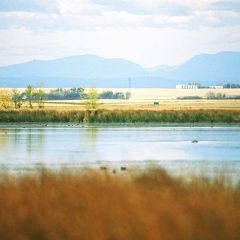 Building with nature