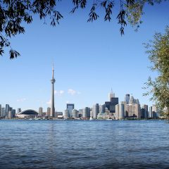 From marshes and bogs to the big smoke