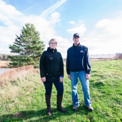 Wetlands: a valuable farmhand