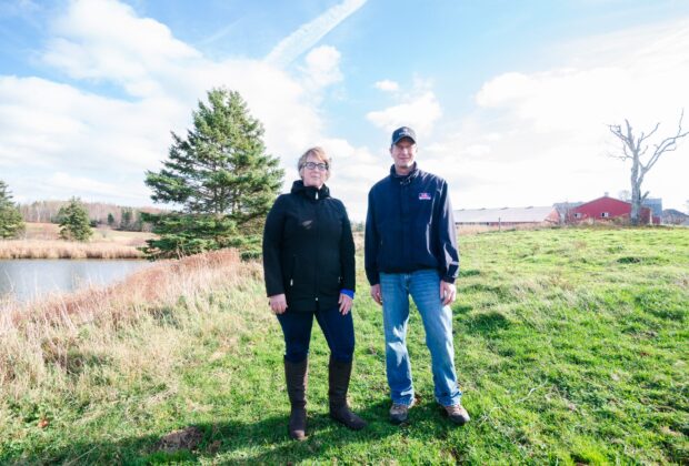 Wetlands: a valuable farmhand