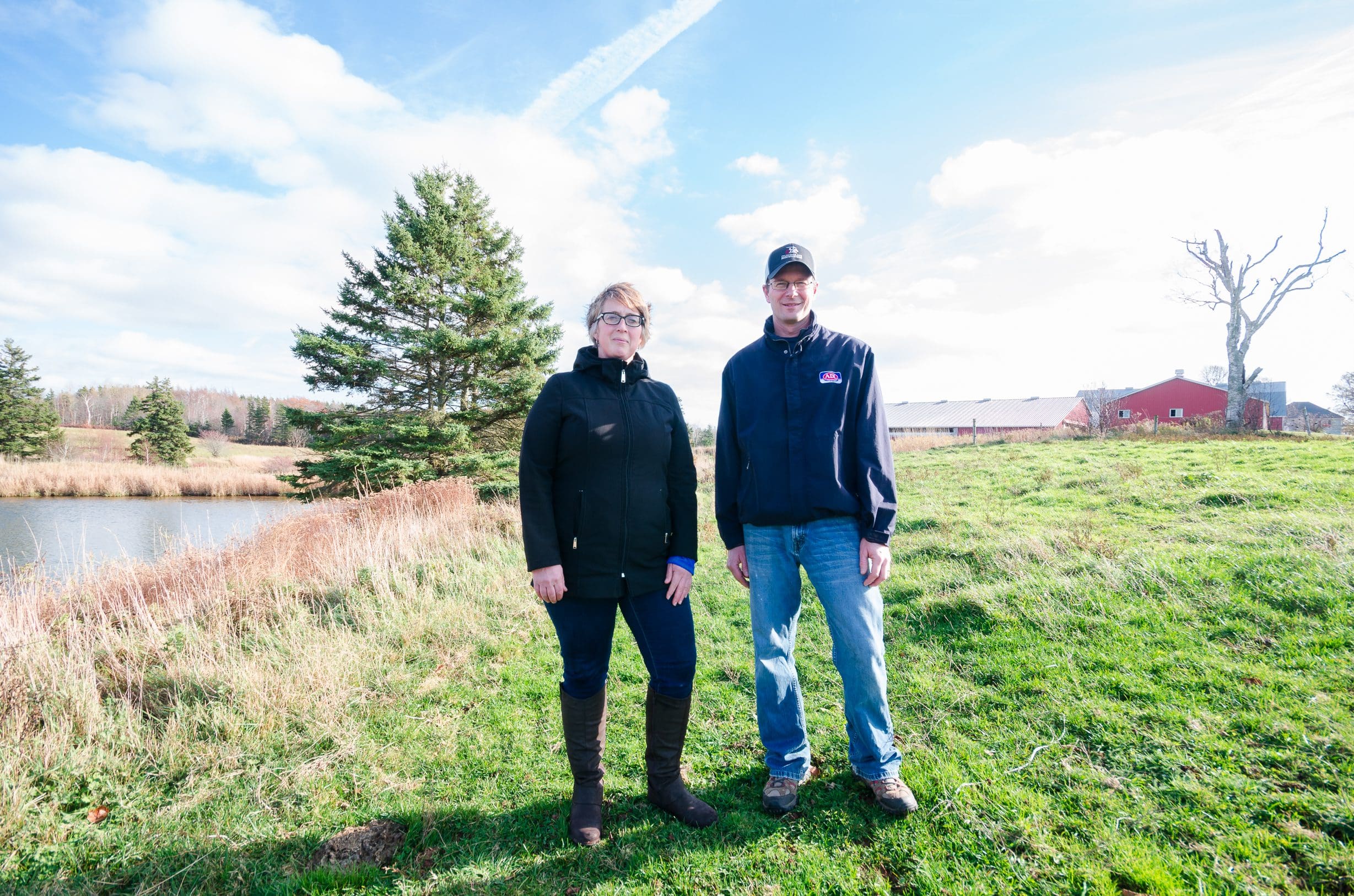 Wetlands: a valuable farmhand