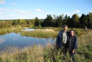 Small marsh with a big impact