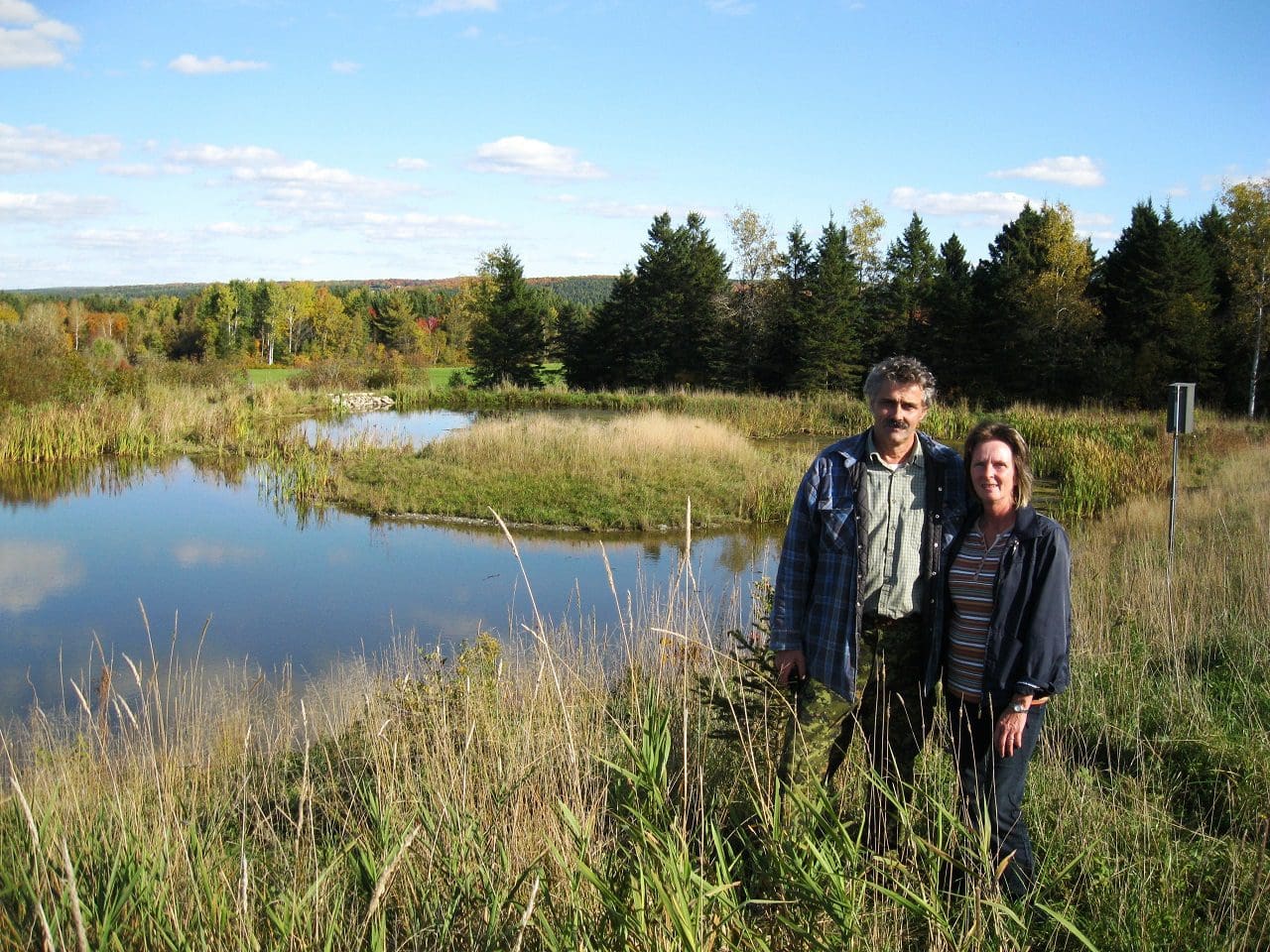 Small marsh with a big impact