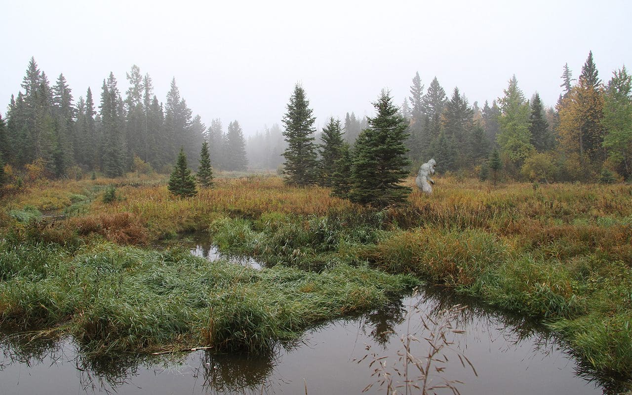 Newly found invasive species may affect northern mammal populations