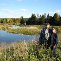 Small marsh with a big impact