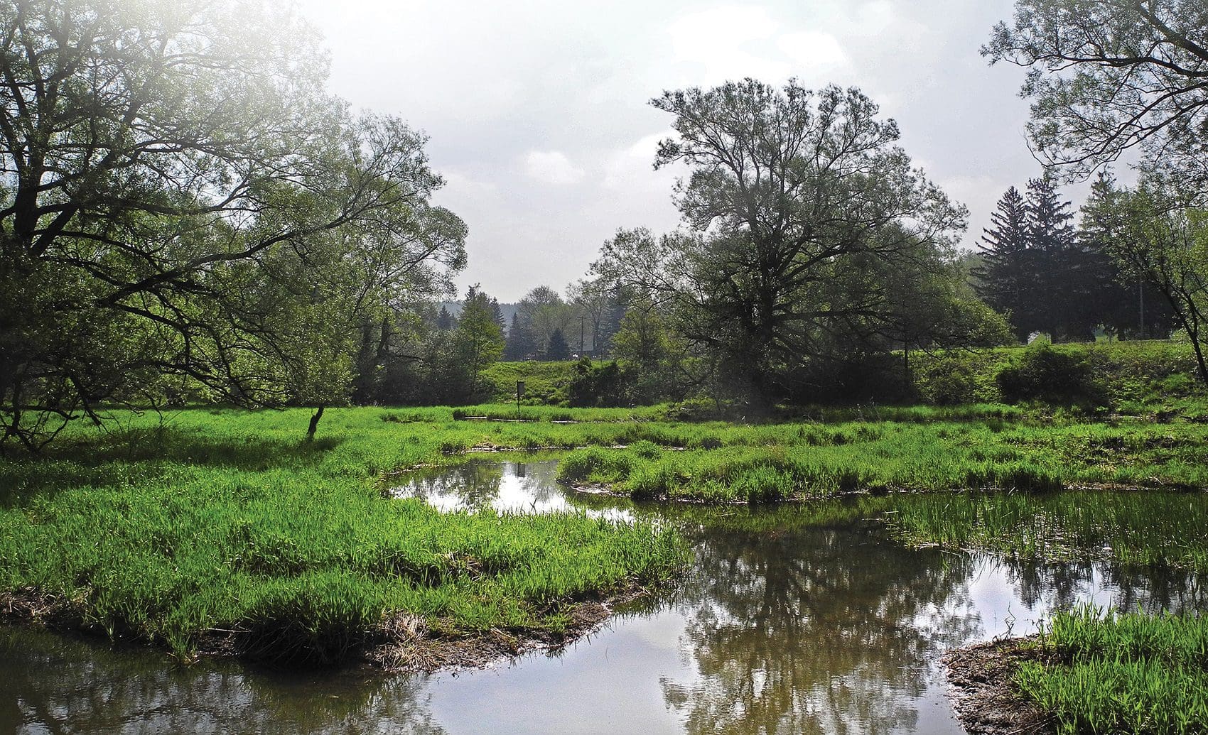 Investing in wetlands