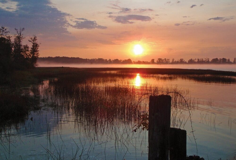 The Fraser River Estuary is the largest estuary along the B.C. coast. 