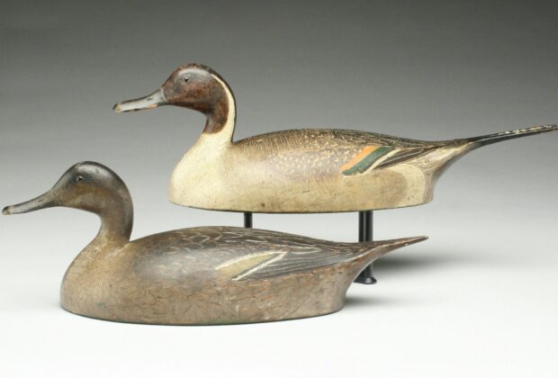 Rare pintail decoys set world auction record