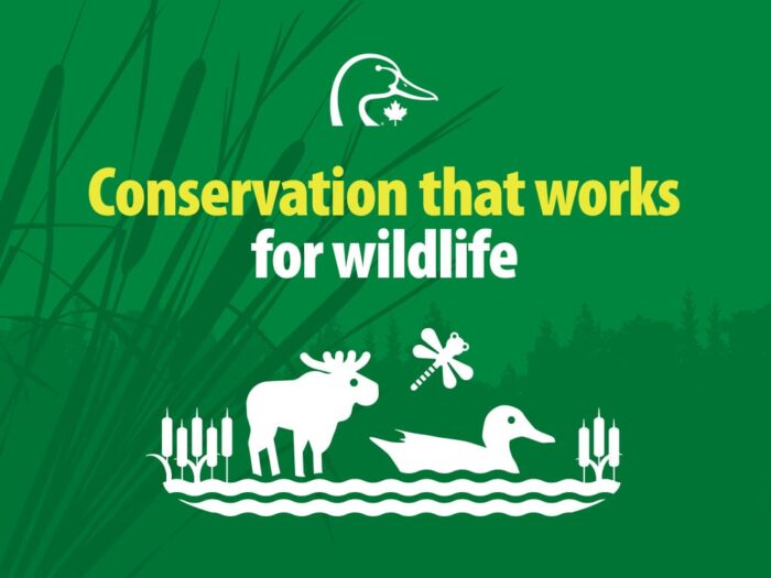 Conservation that works