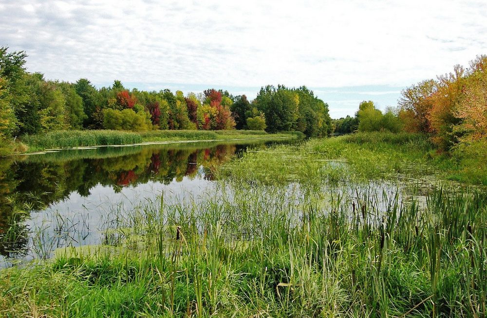 Quebec passes legislation to conserve wetlands and water