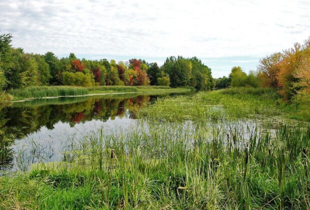 Quebec passes legislation to conserve wetlands and water