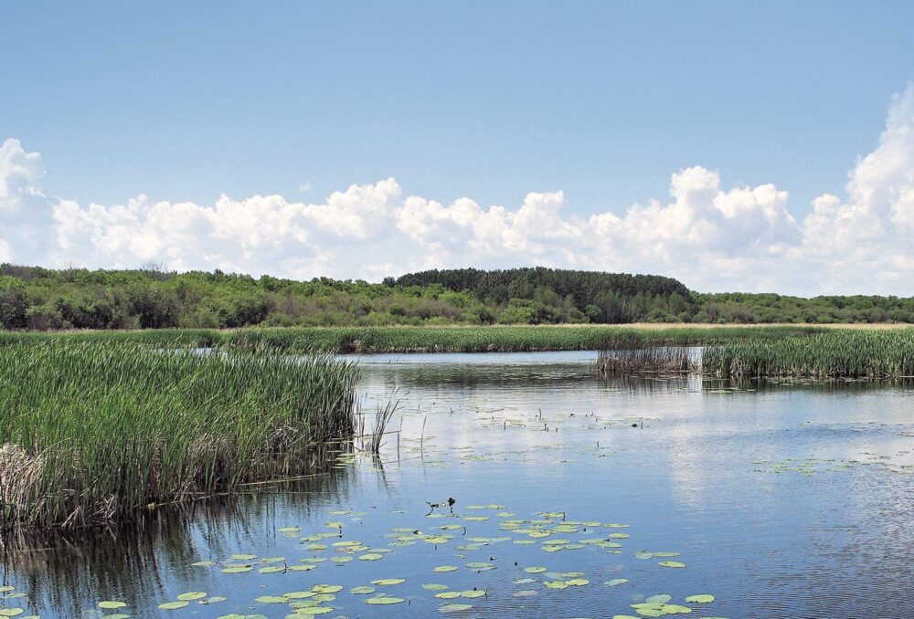 Saskatchewan River Delta