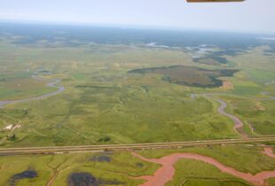 Conserving a working landscape in Tantramar