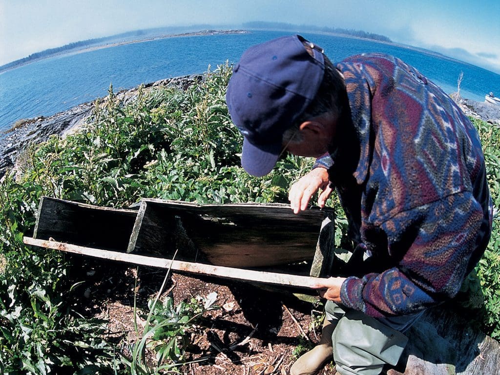 eider shelter