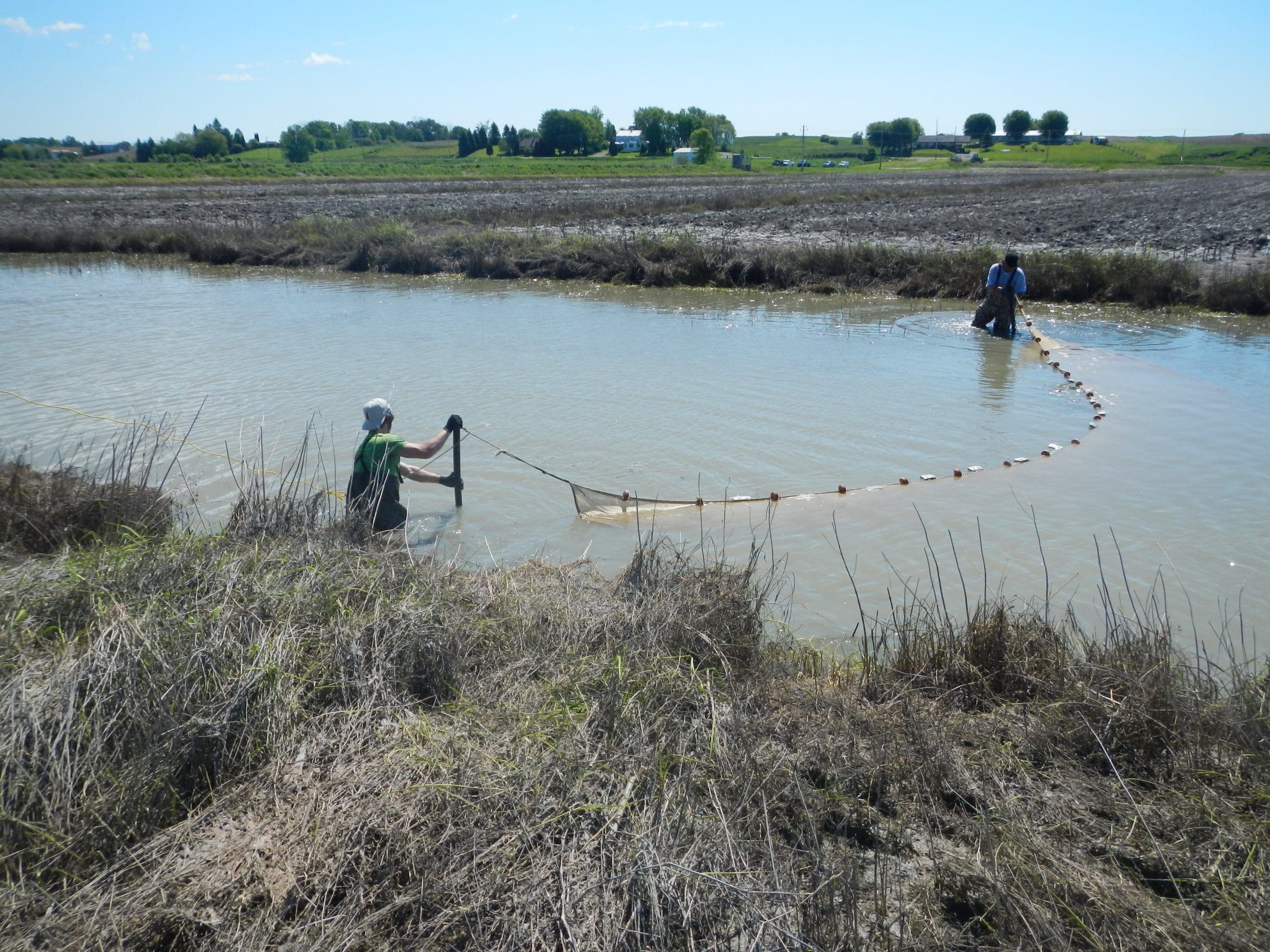 Floodgates open for fish along St. Lawrence River