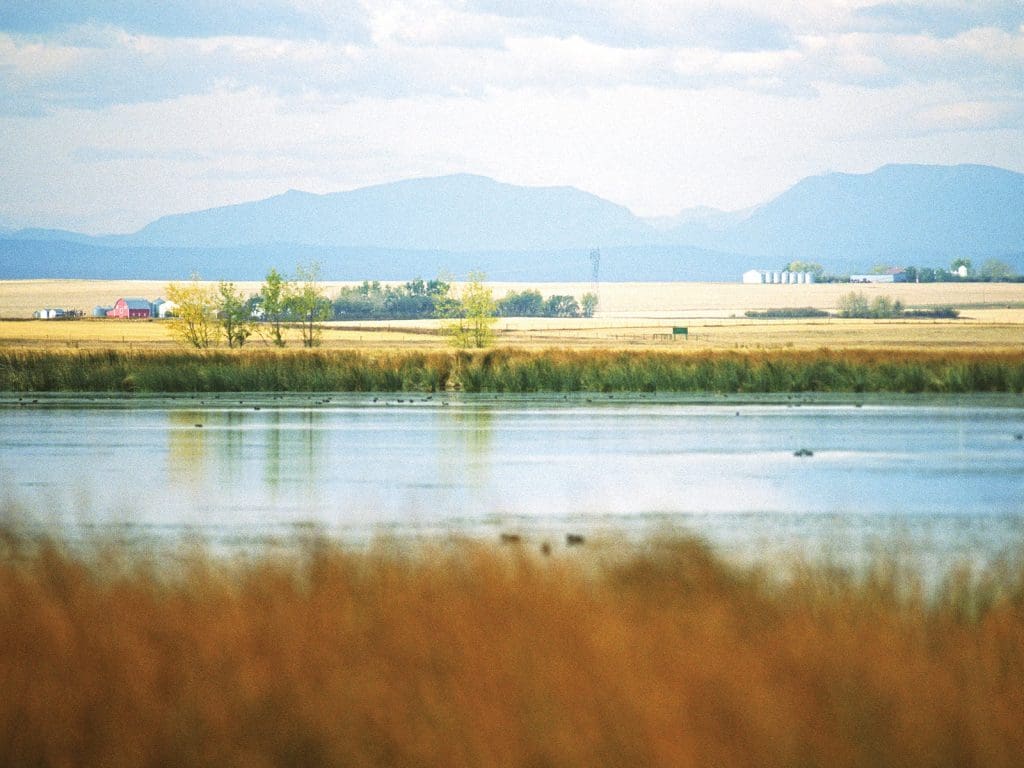 Green infrastructure in Alberta