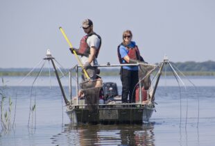 Fishing for data at Delta Marsh