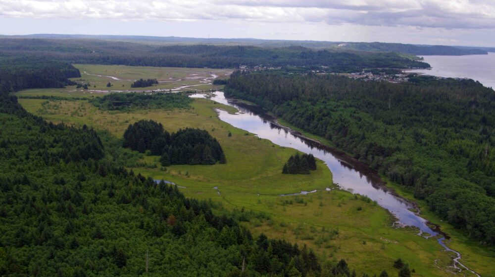 New Tide and Local Partnership Restores Delkatla Slough’s Upper Marsh