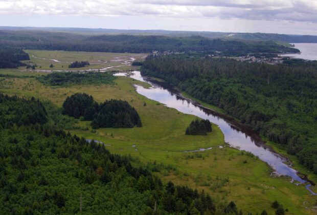 New Tide and Local Partnership Restores Delkatla Slough’s Upper Marsh