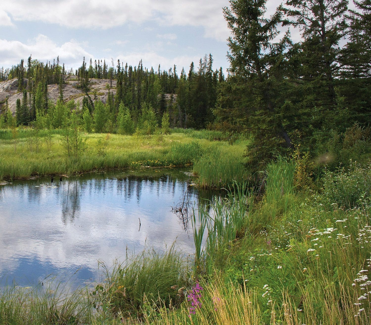 National Forest Week