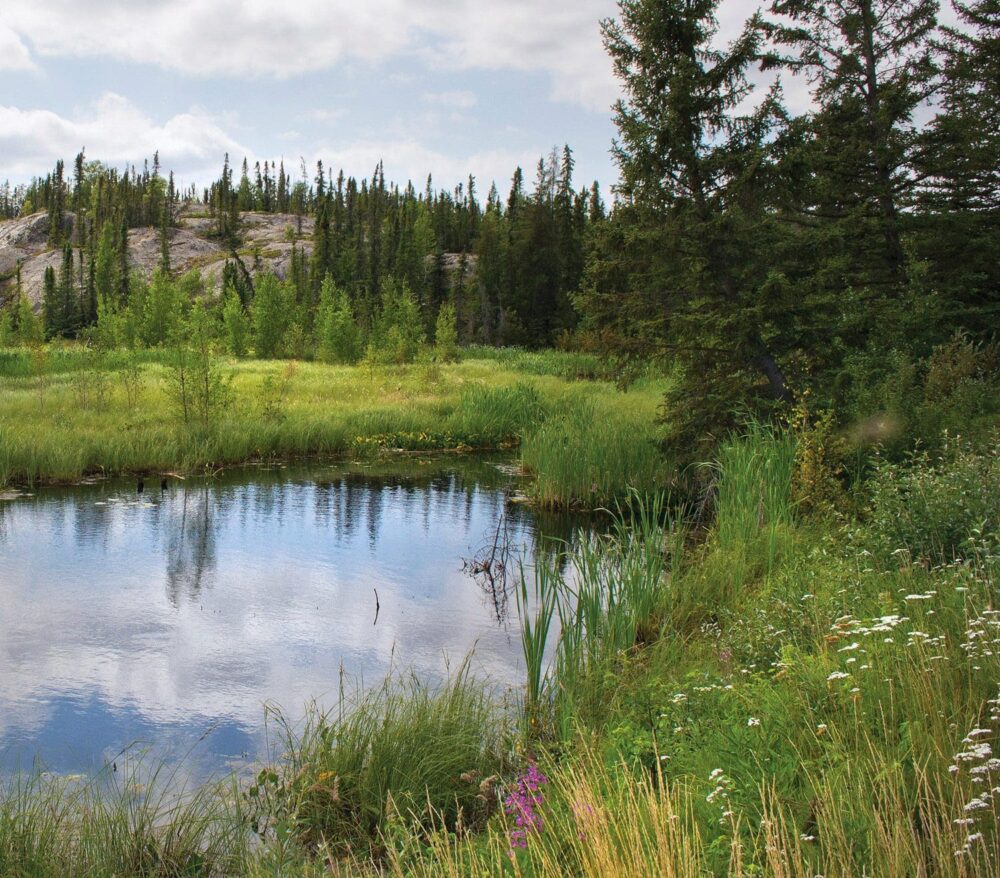 DUC and the Akaitcho Treaty 8 Tribal Council undertake an impressive conservation effort in the boreal forest