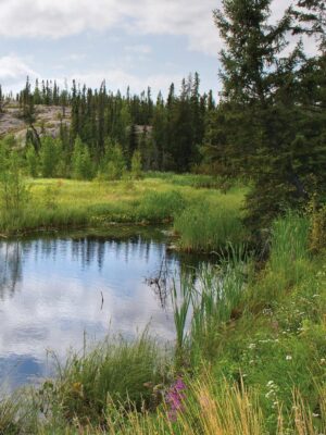 Working with Indigenous Peoples