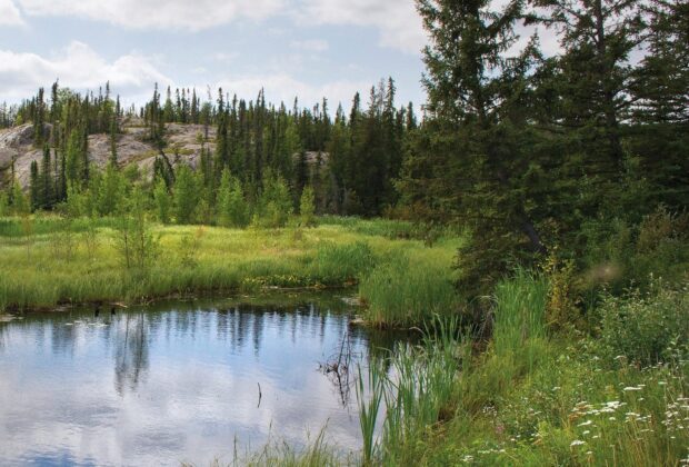 DUC and the Akaitcho Treaty 8 Tribal Council undertake an impressive conservation effort in the boreal forest