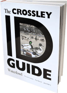 The Crossley ID Guide: Waterfowl is available now through DUC